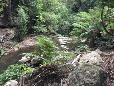 Goomburra - Photo 5
