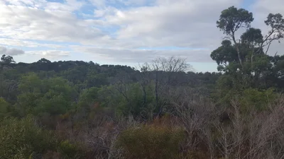 Dalyellup - Photo 2