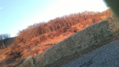 Weston - Photo 5
