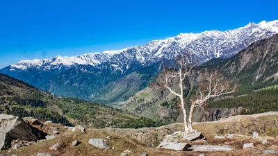 Burwa - Photo 4