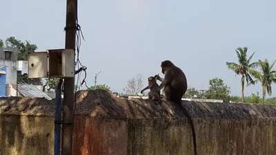 Hanumanthapuram - Photo 2