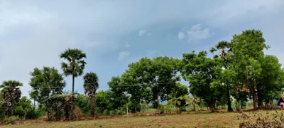 Hanumanthapuram - Photo 3