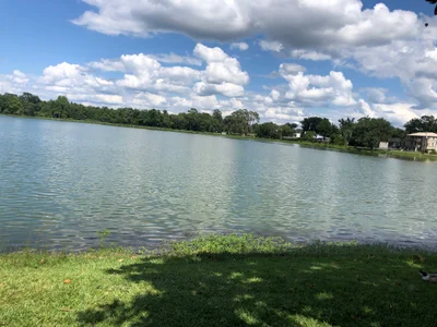 Lake City - Photo 2