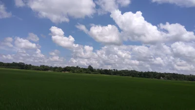 Nalkura - Photo 2