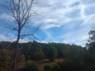 Greenville - Photo 2