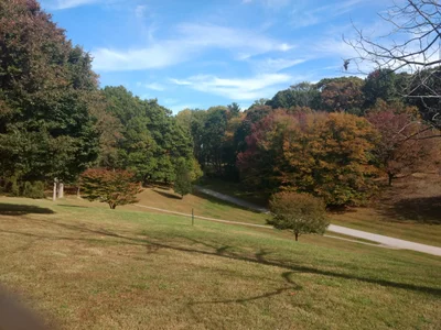 Greenville - Photo 3