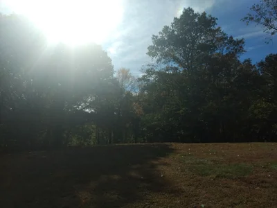 Greenville - Photo 4