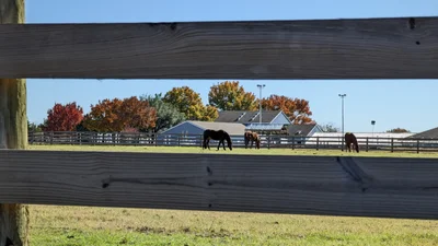 Fairview - Photo 2