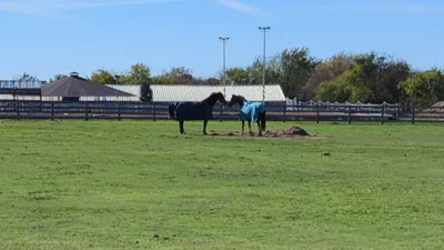 Fairview - Photo 5