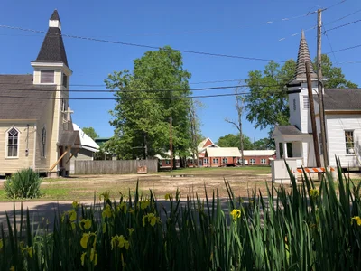 Ponchatoula - Photo 2