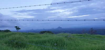 Wamuran - Photo 3