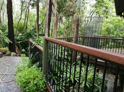 Wamuran - Photo 5