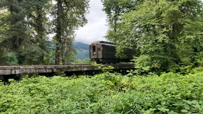 North Bend - Photo 4