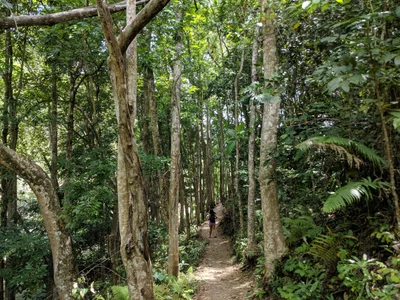 Alegria - Photo 3