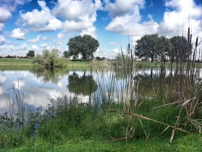 Viera - Photo 2