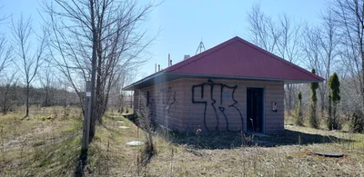 Springwater - Photo 4