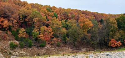 Neosho - Photo 3