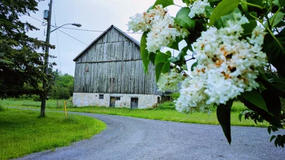 Acton - Photo 3