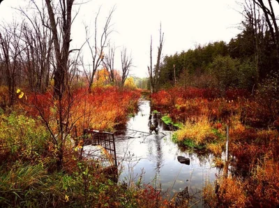 Acton - Photo 5