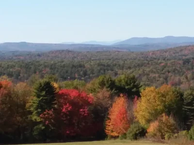 Casco - Photo 3