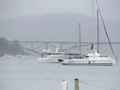 Wagstaffe - Photo 2