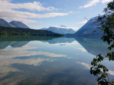 Moose Pass - Photo 2