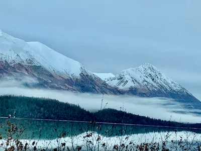 Moose Pass - Photo 3