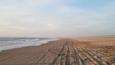 Ocean Park - Photo 5
