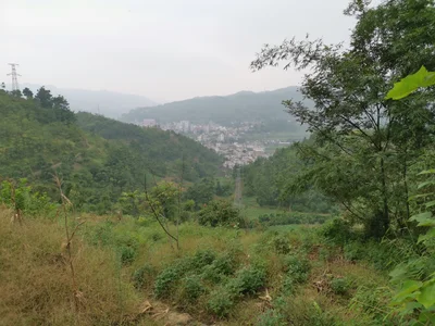 Yibin County - Photo 4
