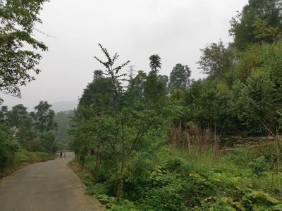 Yibin County - Photo 5