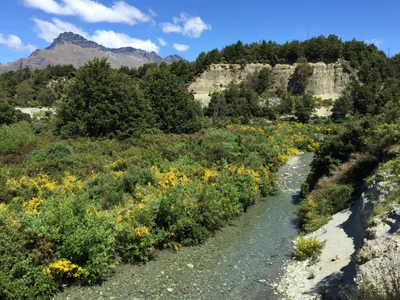 Mount Creighton - Photo 4