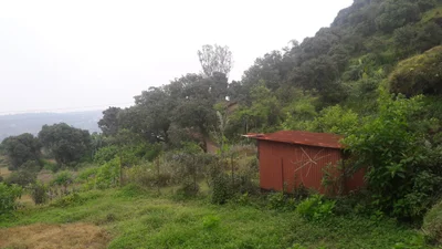Bhekavali - Photo 2