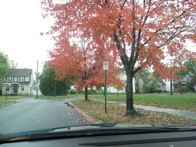 Shaker Heights - Photo 4
