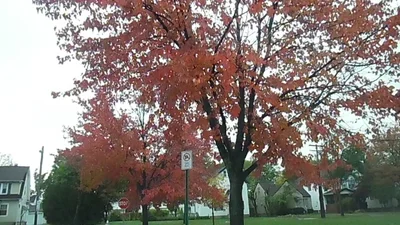 Shaker Heights - Photo 5