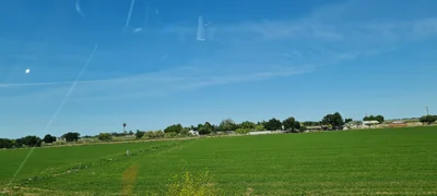 Tracy - Photo 4