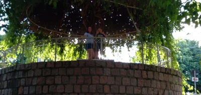 Portão - Photo 2