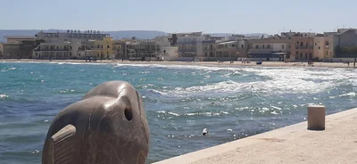 Torre Canne - Photo 5