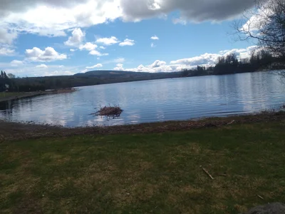 Burns Lake - Photo 4