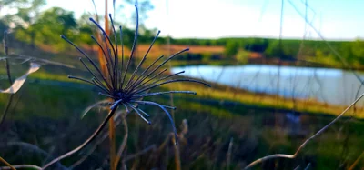 Sapulpa - Photo 4
