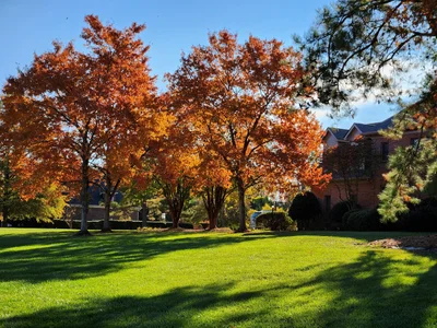 Kannapolis - Photo 3