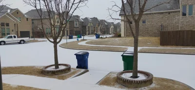 McKinney - Photo 4