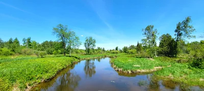 Grey Highlands - Photo 5