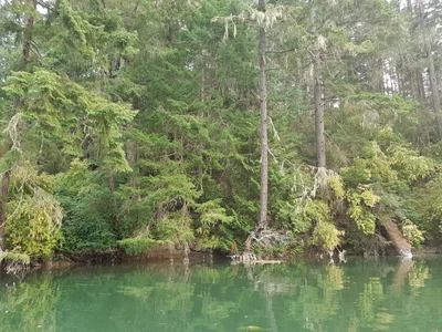 Salt Spring Island Electoral Area - Photo 2