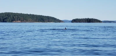 Salt Spring Island Electoral Area - Photo 3