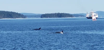 Salt Spring Island Electoral Area - Photo 4