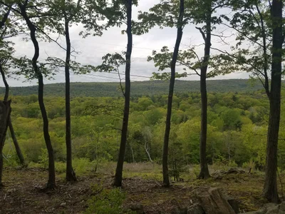 West Milford - Photo 2