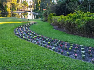 Cypress Gardens - Photo 5