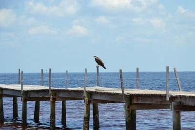 Bokeelia - Photo 4