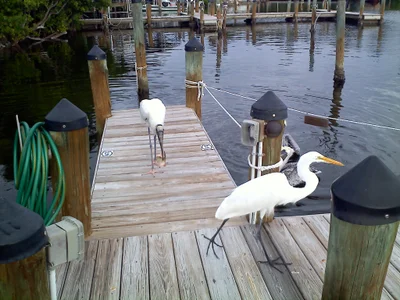 Bokeelia - Photo 5