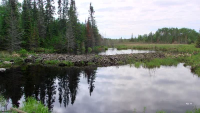 Sioux Narrows-Nestor Falls Township - Photo 5